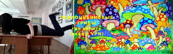 прущие крисы Михайловка