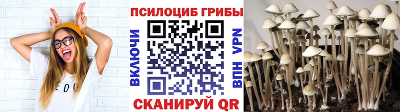 omg ССЫЛКА  Струнино  Галлюциногенные грибы Magic Shrooms 